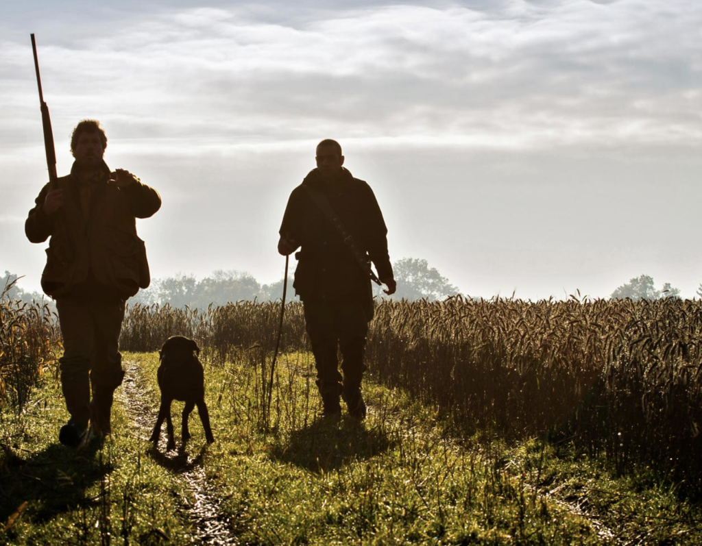 Ensuring Your Dog's Safety: Preventing Heat Exhaustion and Hypothermia During Hunting Season