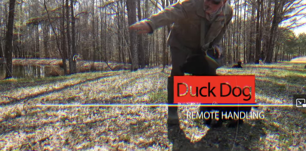 DUTV, Duck Dog Ep 5: Remote Handling - Video