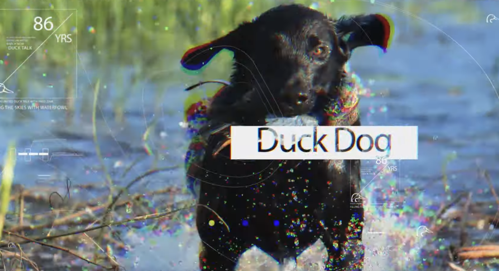 DUTV DuckDog with Mike Stewart - Video